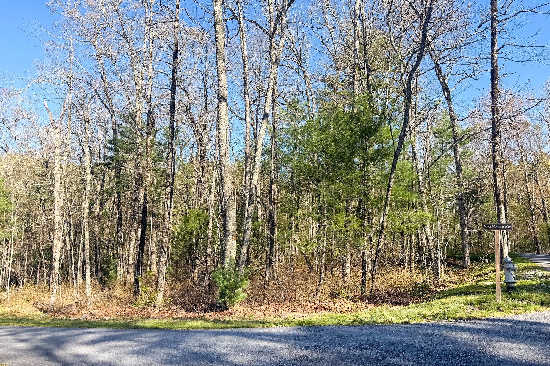 Level Homesite in Norton Ridge