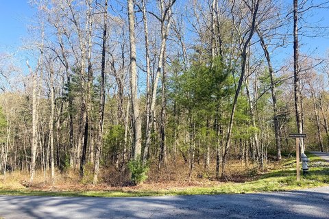 Level Homesite in Norton Ridge
