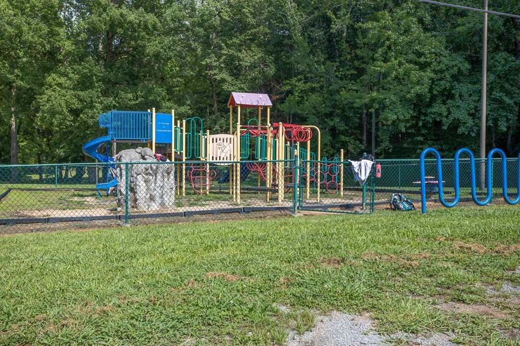 Picture 24