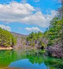 Waterfront Golf Community Lot
