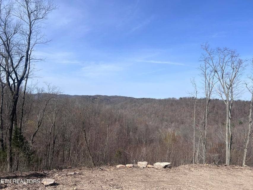 Picture 25