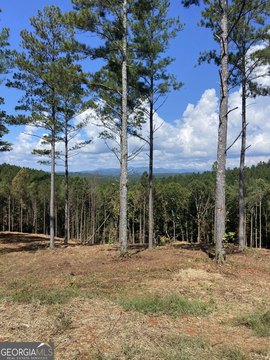 LAND - Ellijay, GA