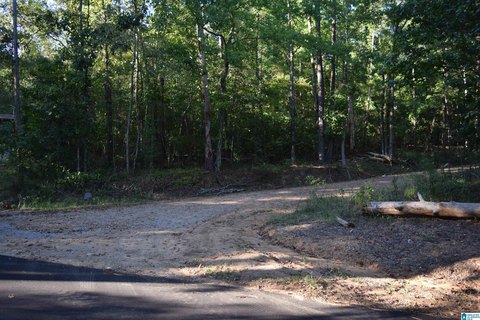 LAND - MCCALLA, AL
