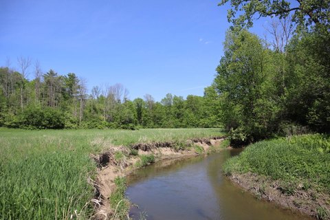 Greenwich Land with Hunting Potential