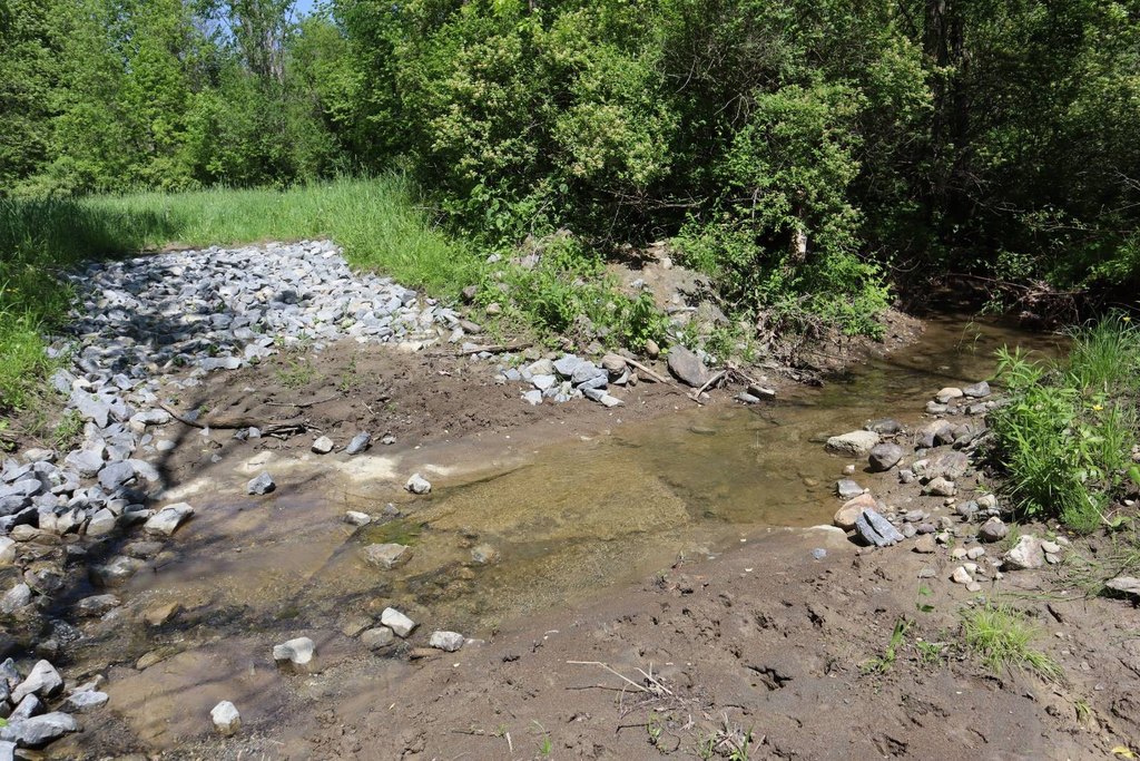 Picture 35