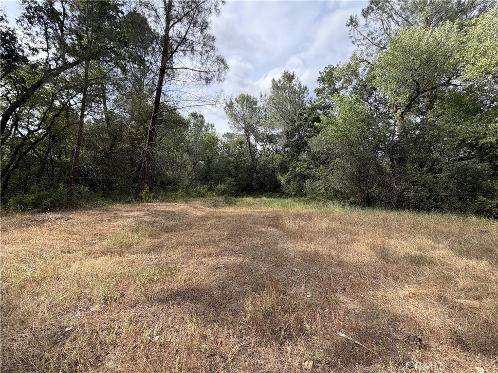 Picture 21