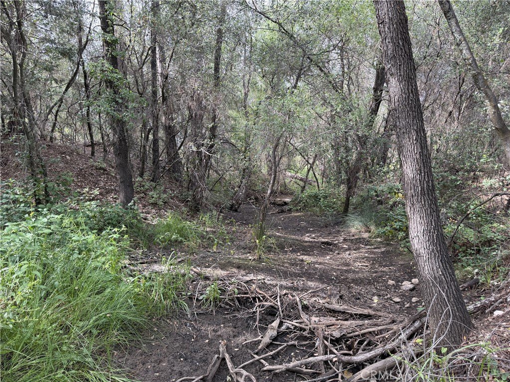 Picture 11