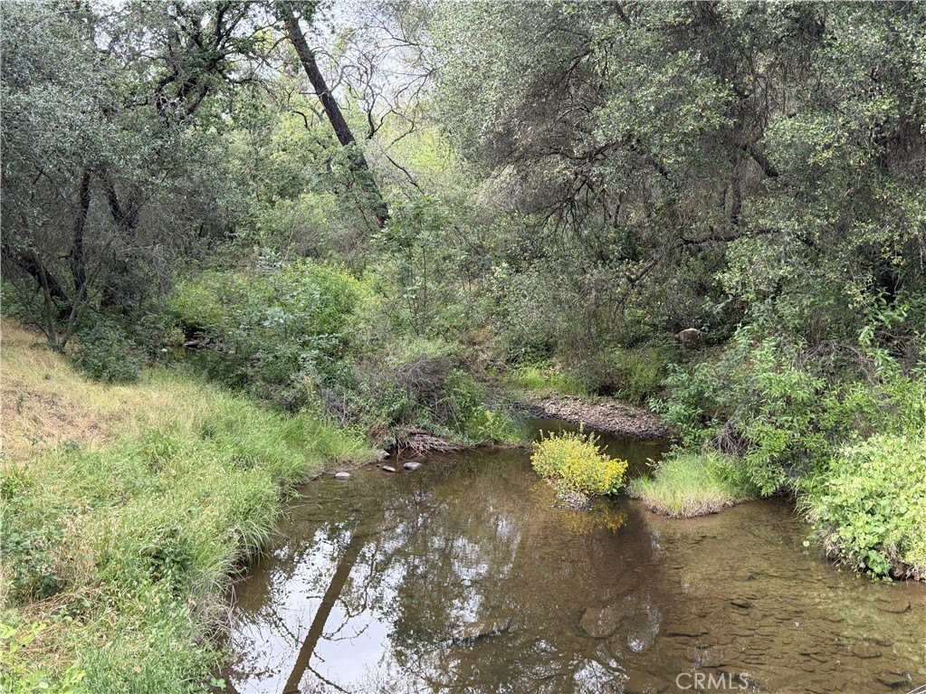 Picture 25