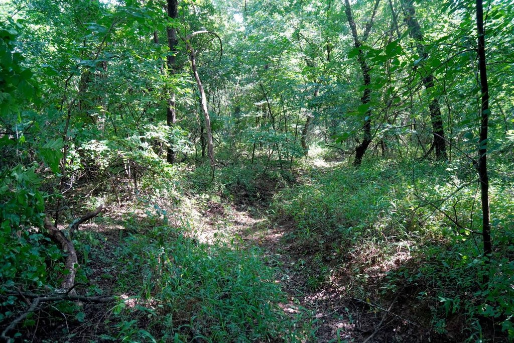 Picture 6