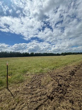 LAND - Sumner, TX