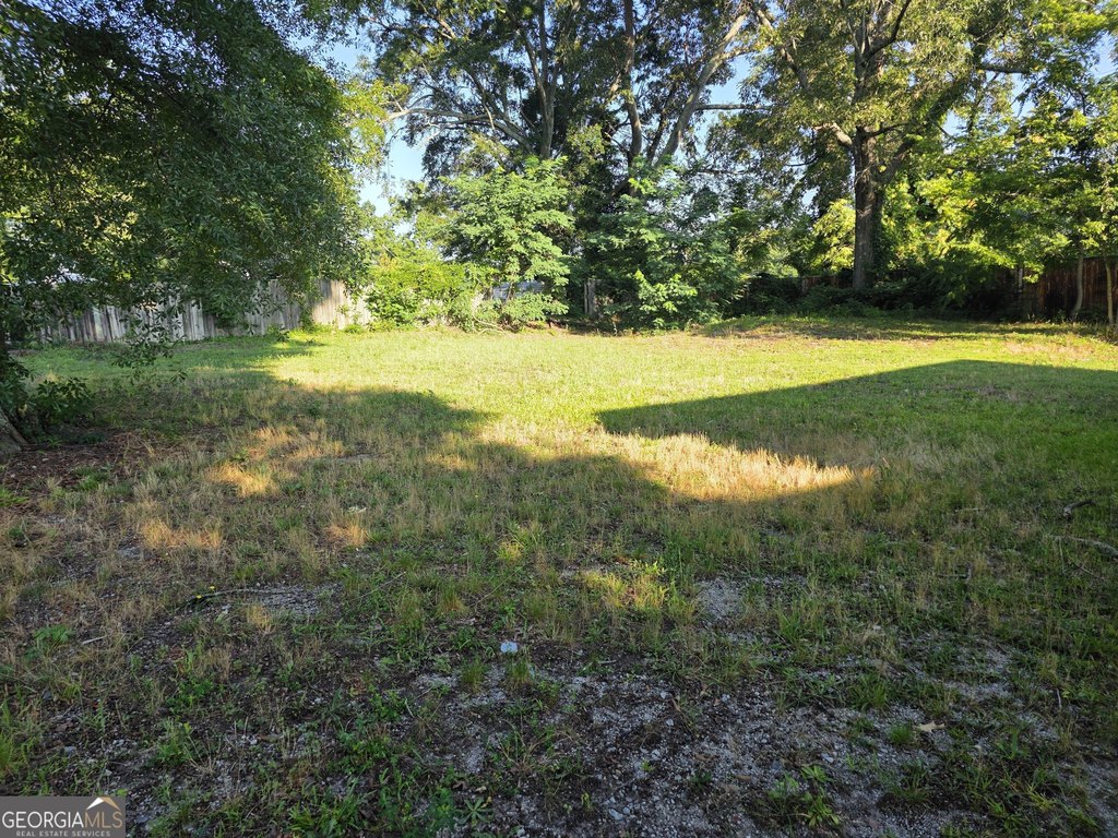 Picture 16