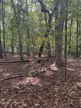Land, Pittsboro, NC