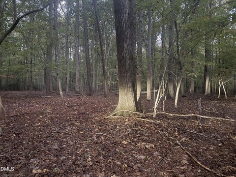 Land, Pittsboro, NC