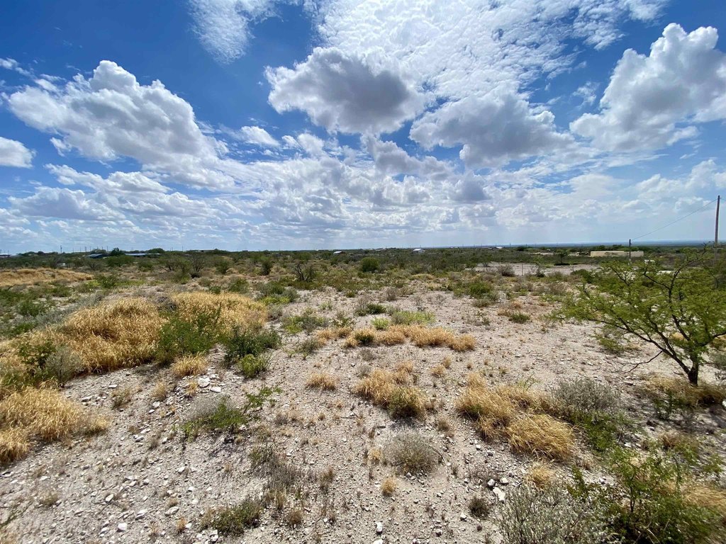 Picture 22