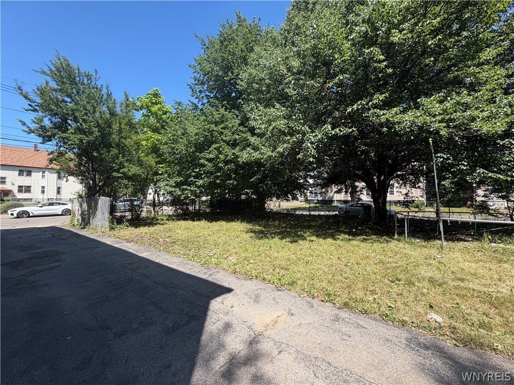 Picture 20