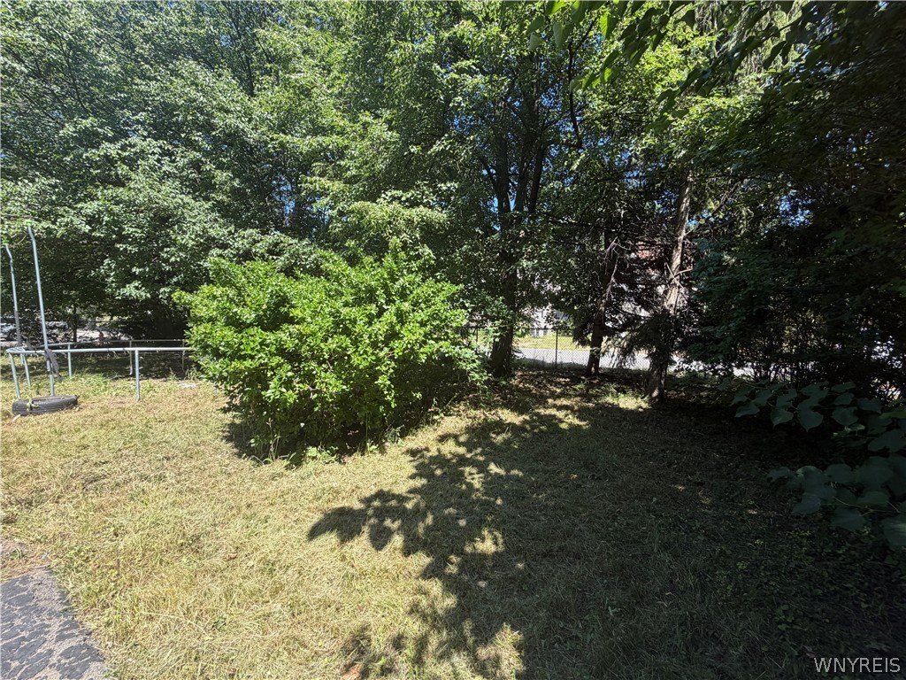 Picture 15