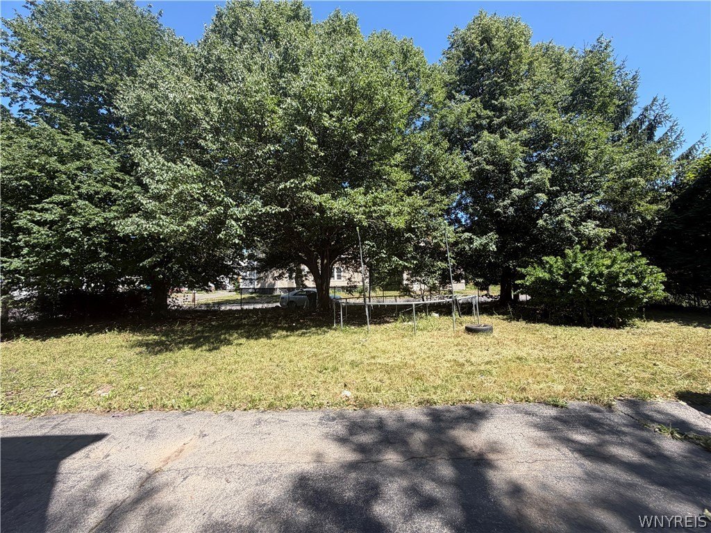 Picture 18