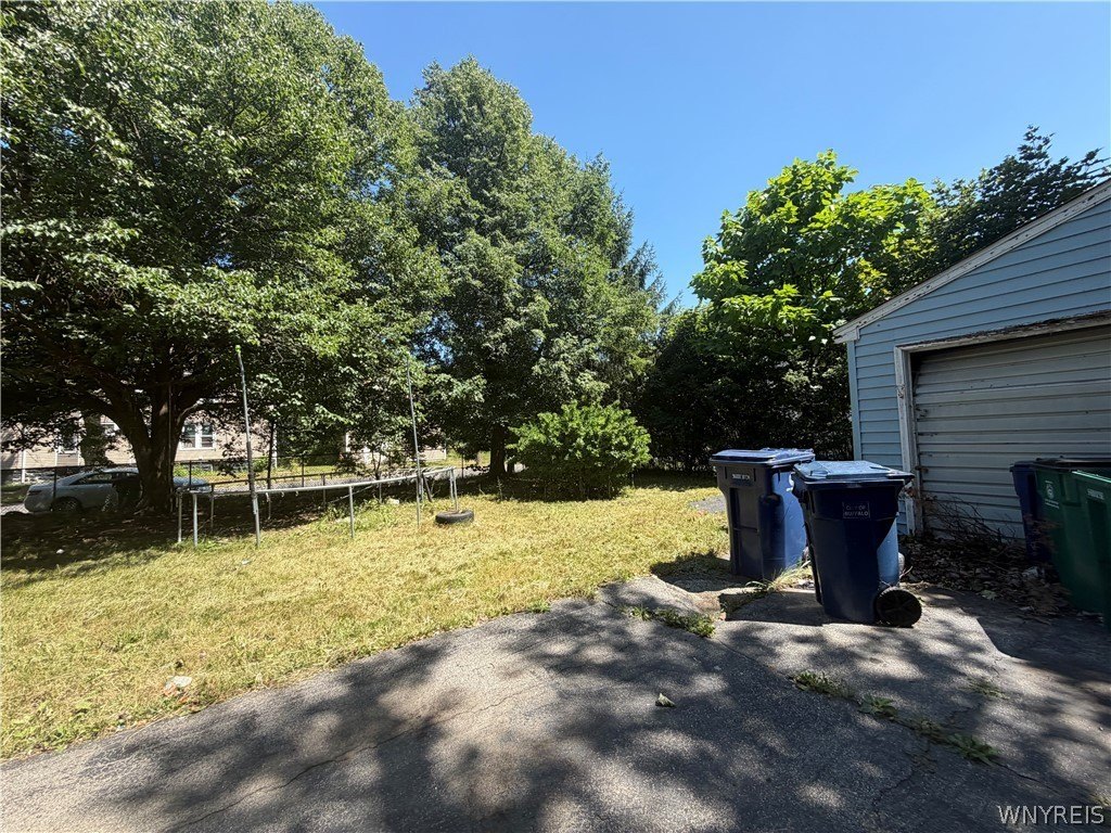 Picture 19
