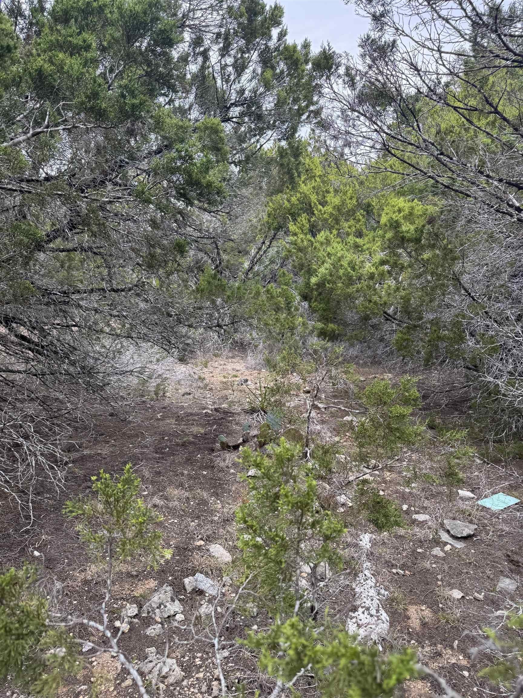 Residential Lot in Lago Vista