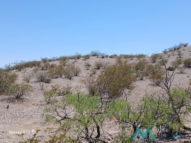 Picture 22