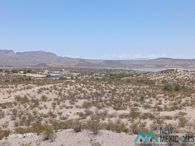 Picture 12