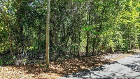 Land, GAINESVILLE, FL