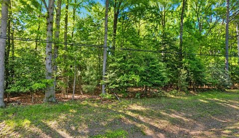 Land, GREENBACKVILLE, VA