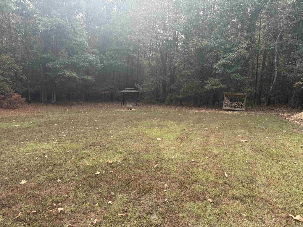 Picture 4