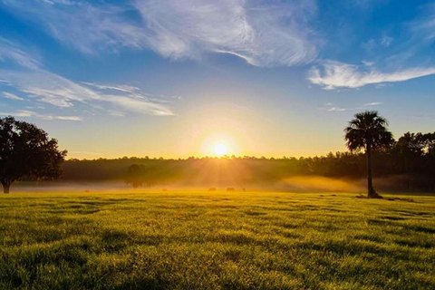 Reddick Land with Equestrian Potential