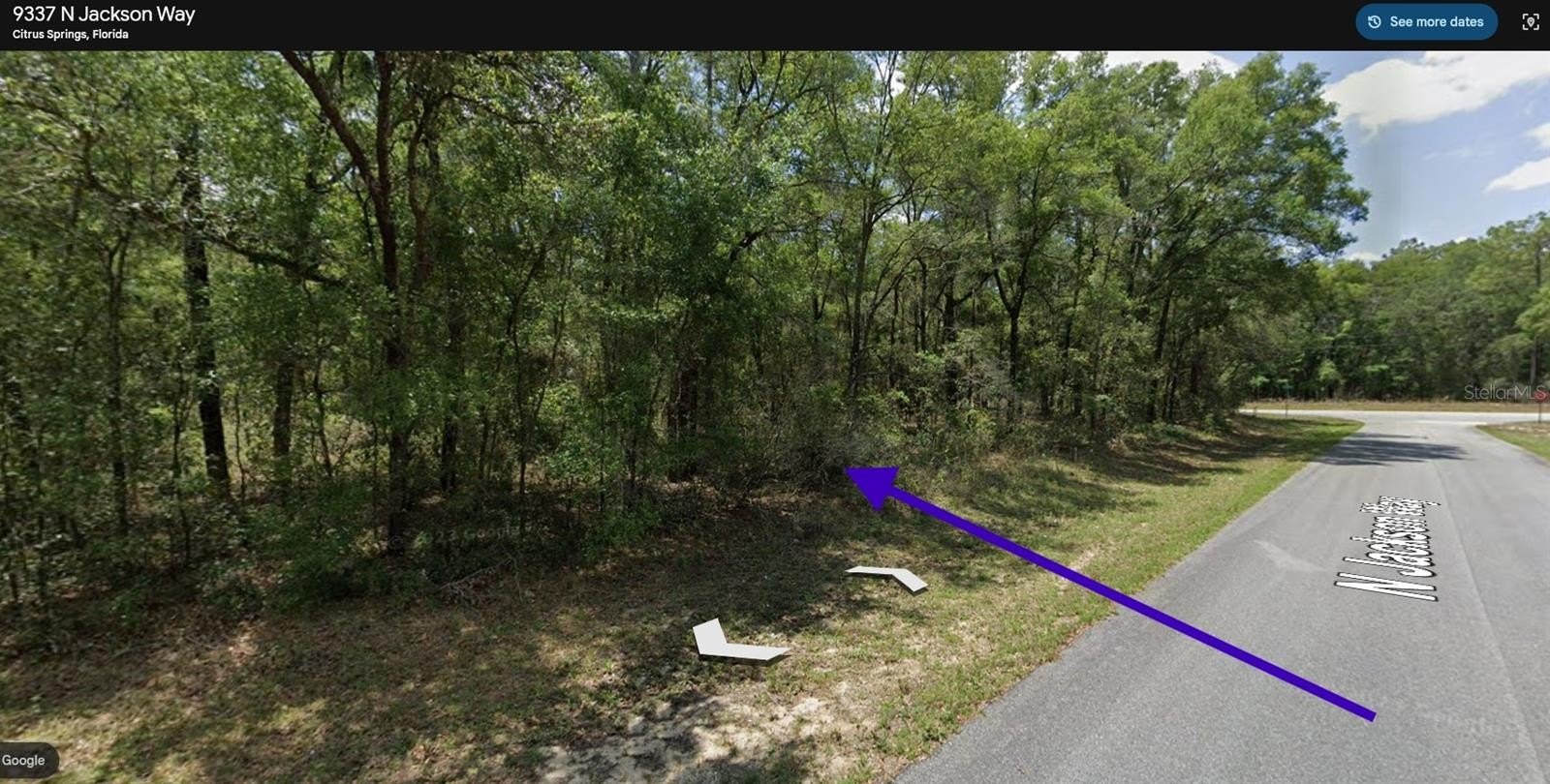 Residential Lot in Citrus Springs