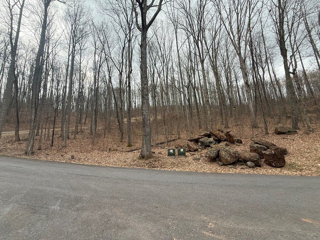 Picture 6