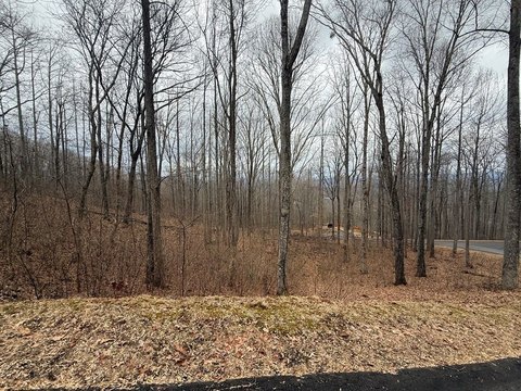 Mountain-View Homesite in Gated Community