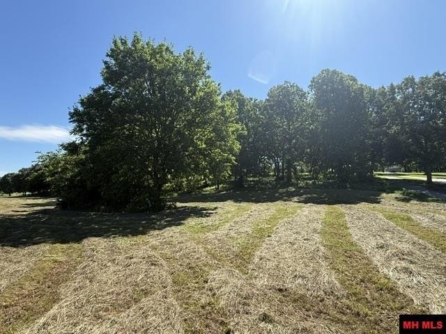 Picture 8
