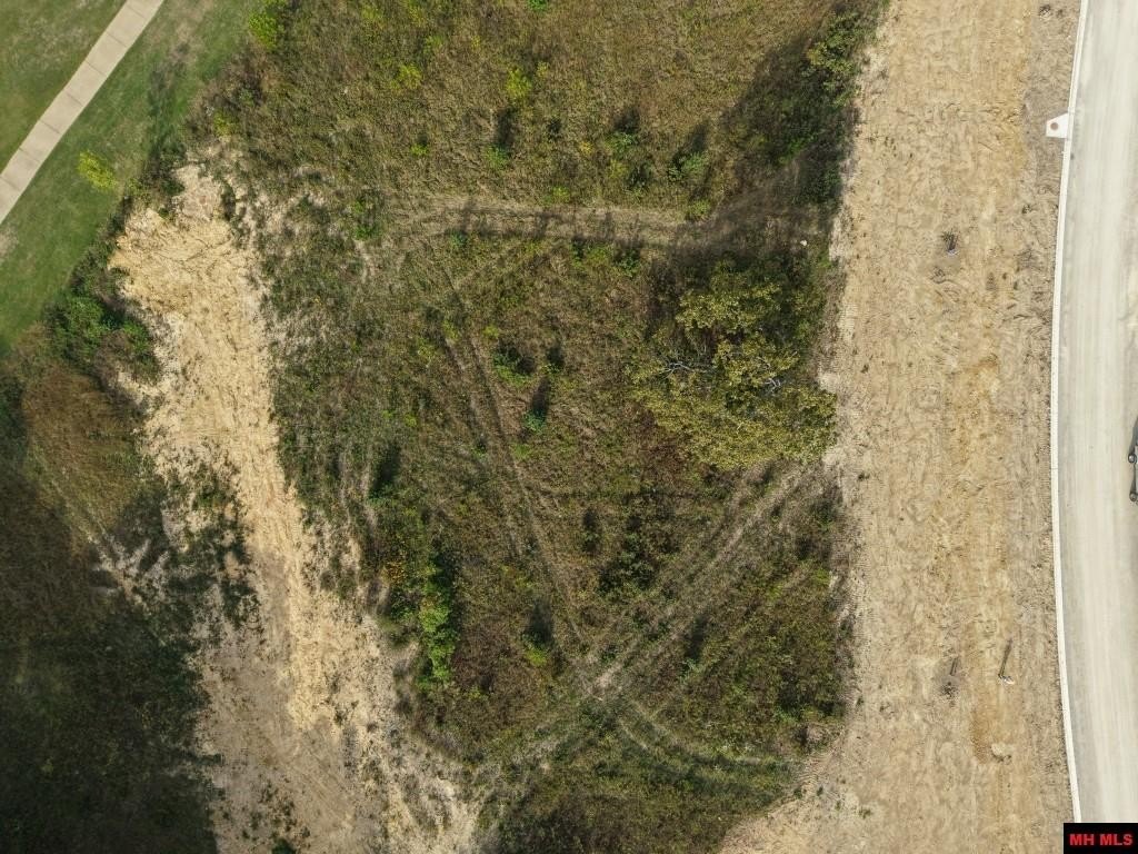 Picture 3
