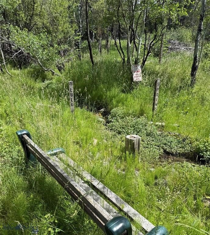 Picture 19