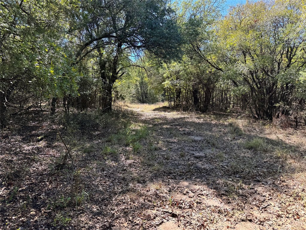 Picture 19