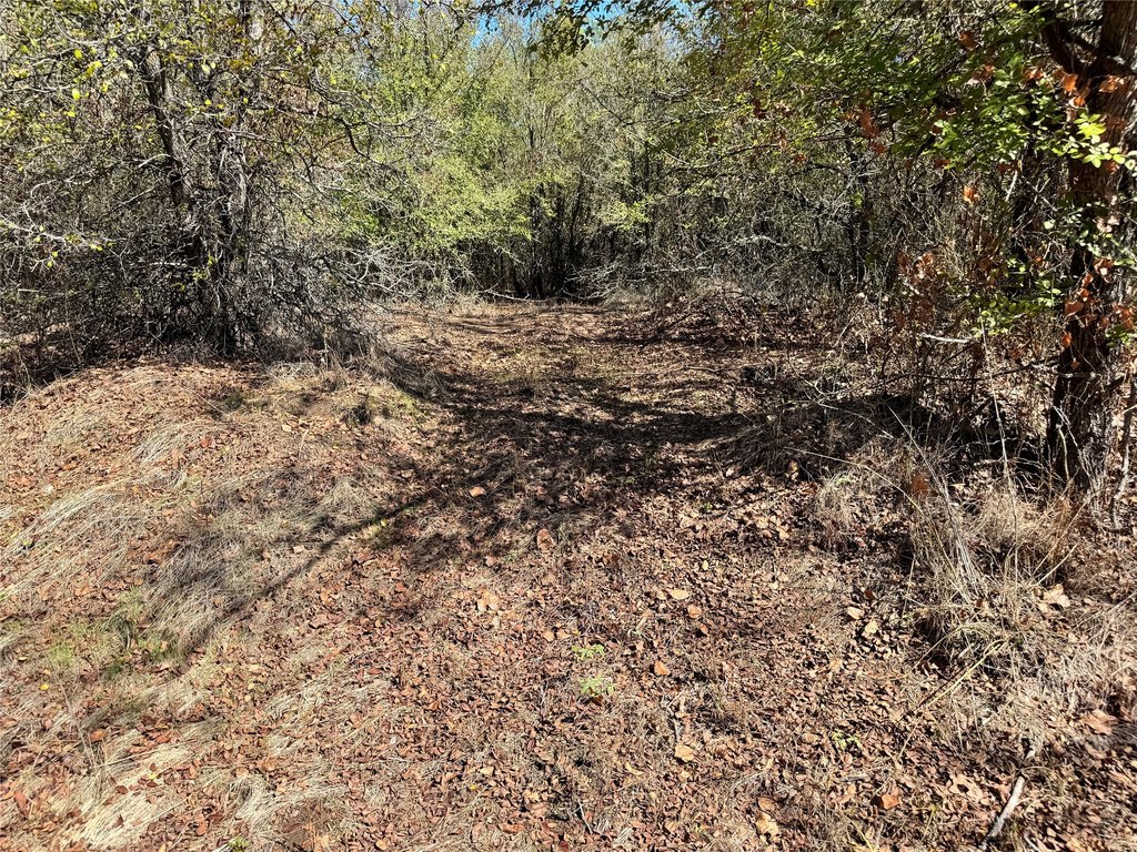 Picture 36
