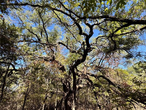 Land, Granbury, TX