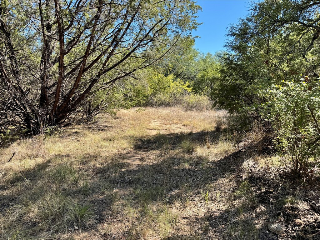 Picture 23