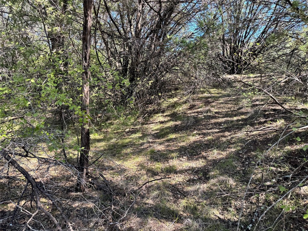 Picture 20