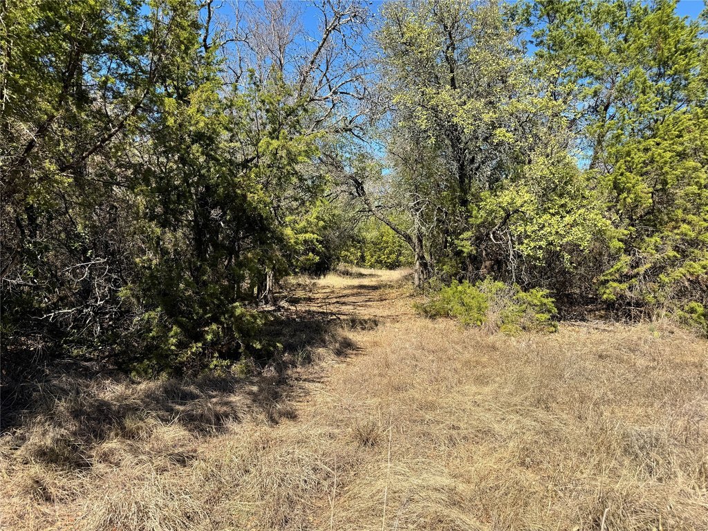 Picture 28