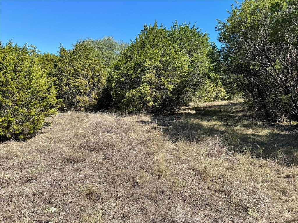 Picture 24