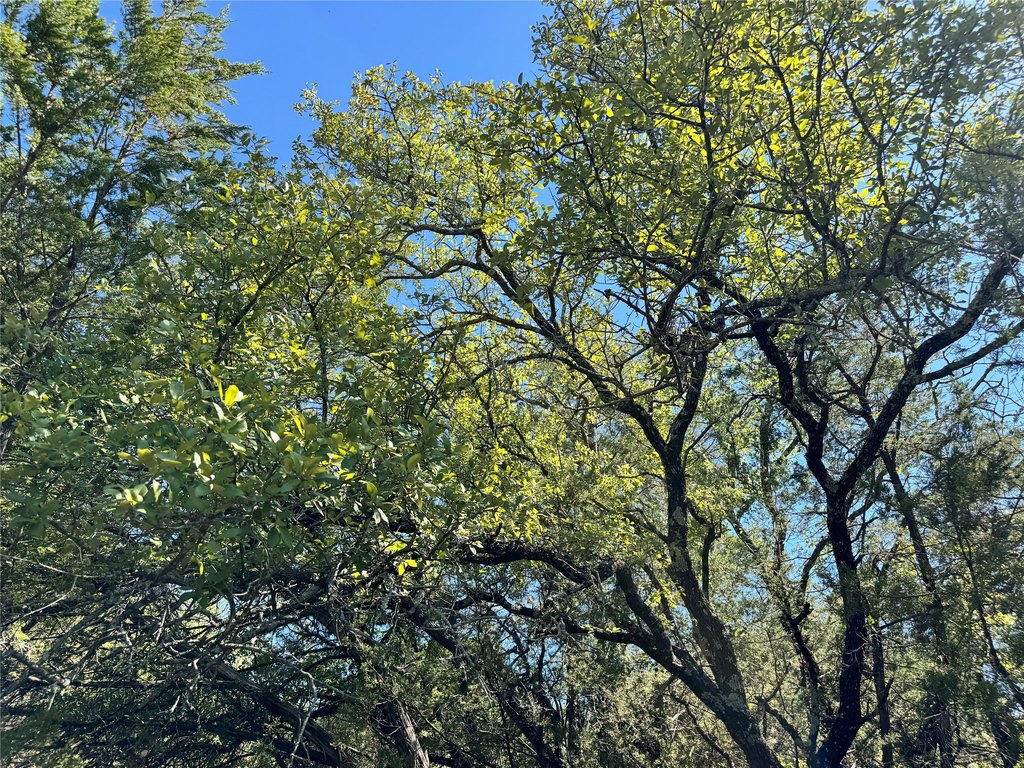 Picture 27