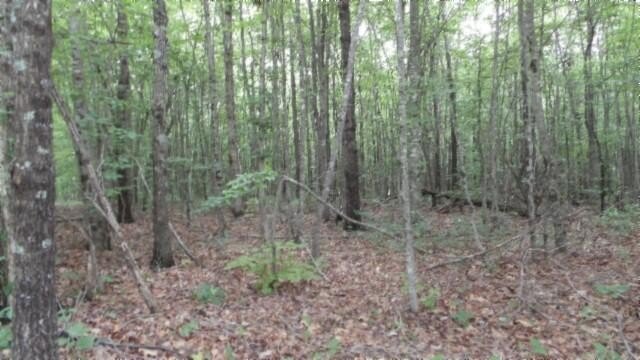 Picture 13