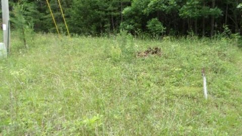 Land, Wilder, TN
