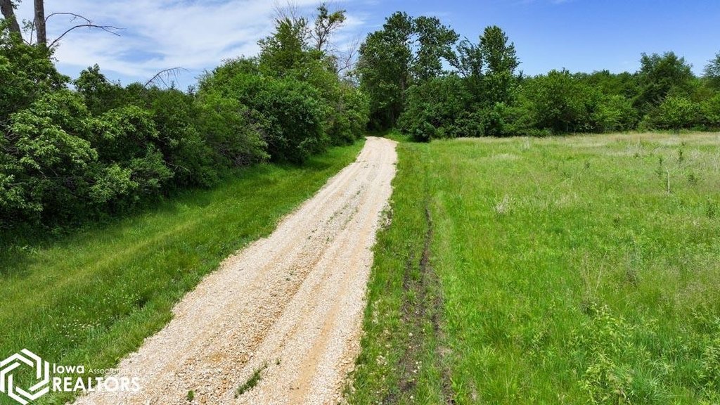 Picture 28