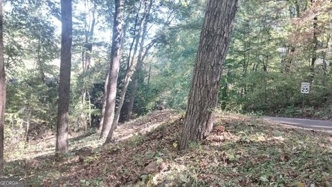 Marietta Land with Creek