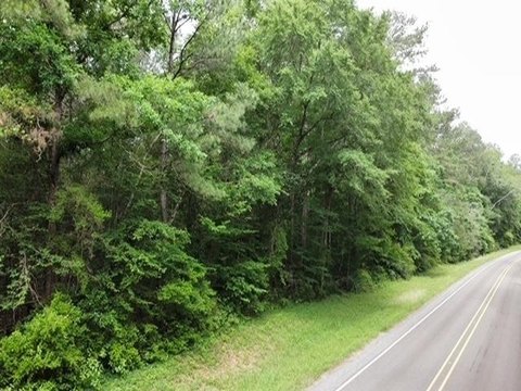 Livingston, TX 11-Acre Land