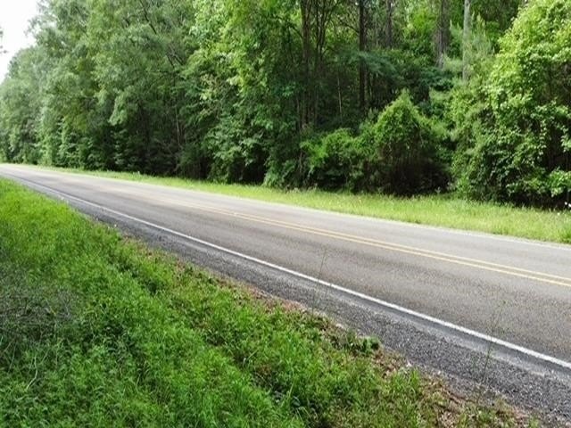 Picture 13