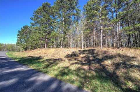 16.54 Acres in Buchanan, GA